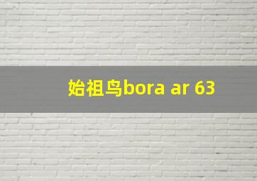 始祖鸟bora ar 63